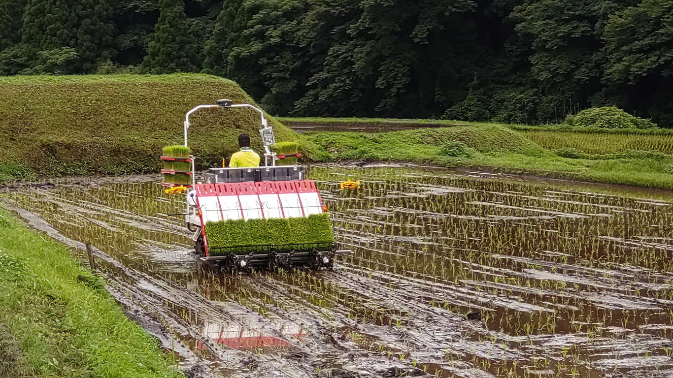 田植風景